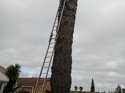 Tree Pruning project Southfield