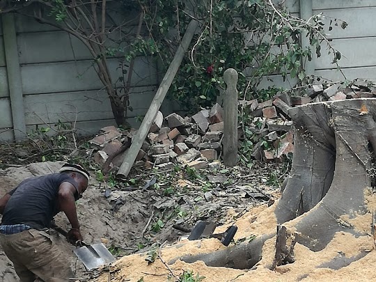 stump removal Clifton Canyon